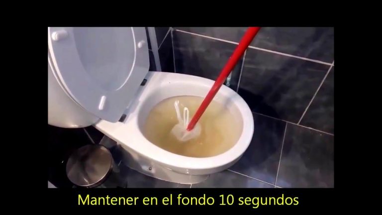 Trucos para Evitar Atascos en el Ba&ntilde;o