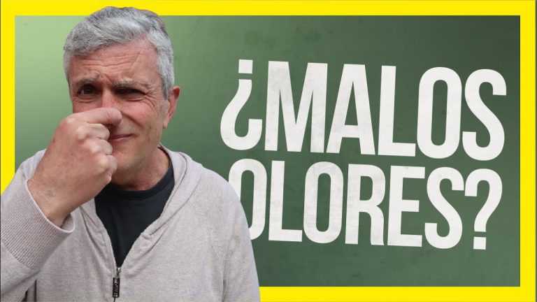 Soluciones Efectivas para Eliminar Malos Olores en el Ba&ntilde;o