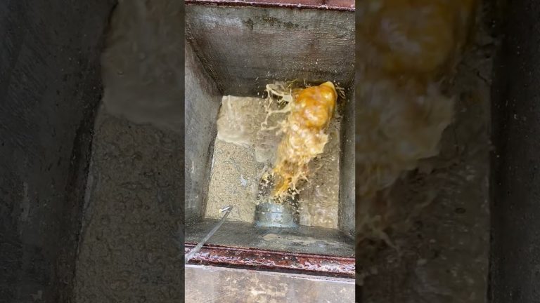 Consejos Efectivos para Desatascos en Casa