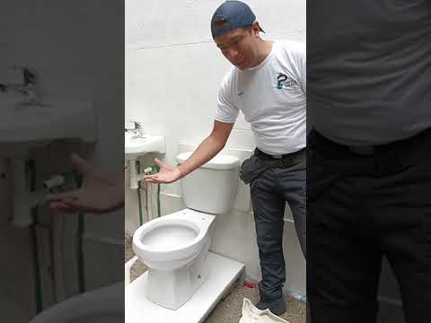 Consejos Efectivos para Evitar Atascos en el WC